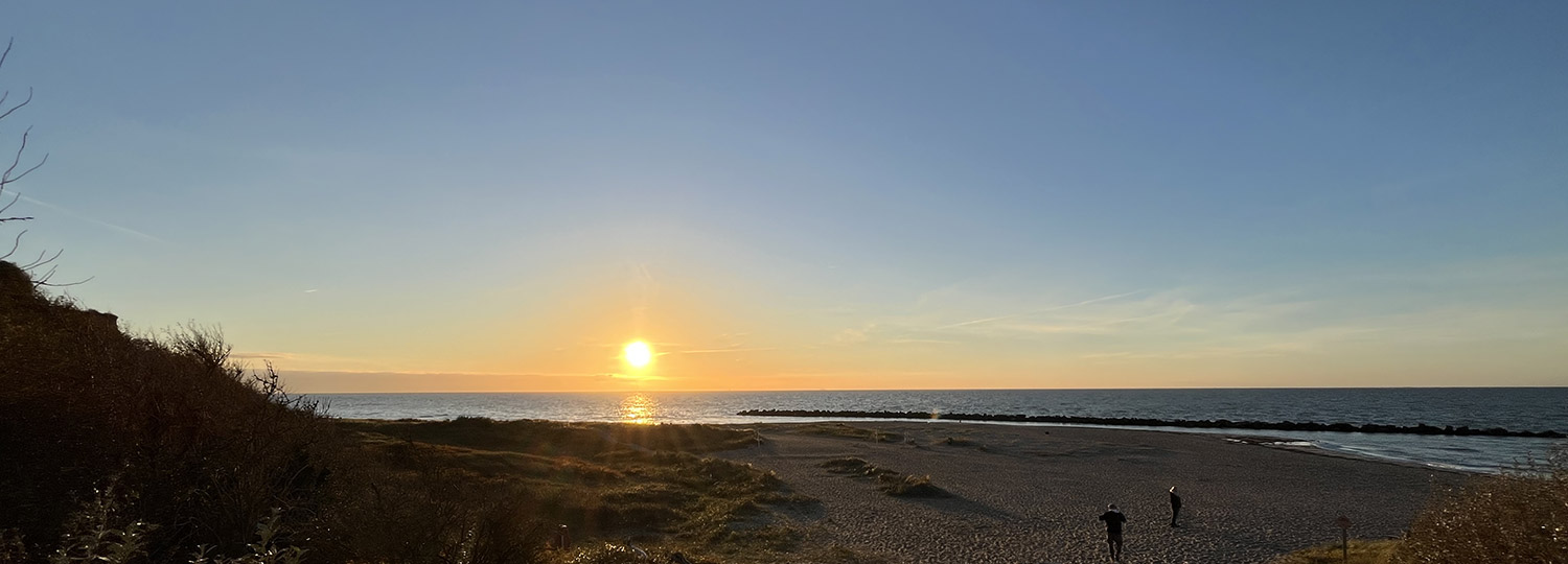 judit-balogh-kontakt