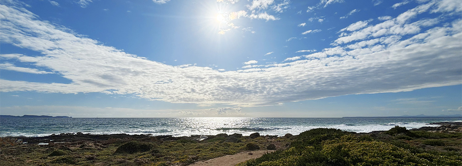 judith-balogh-wahlarztpraxis